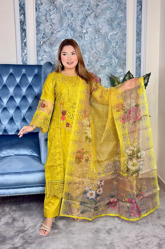 Pakistani Inspired Gorgeous Party 3-piece