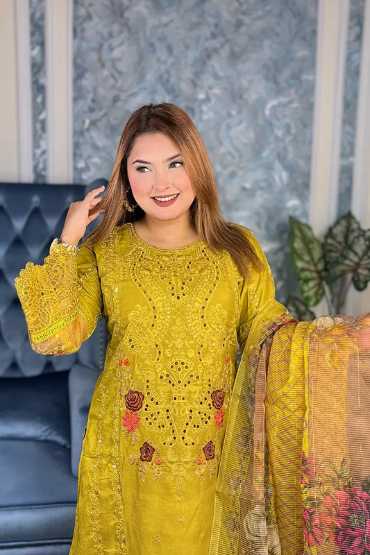 Pakistani Inspired Gorgeous Party 3-piece